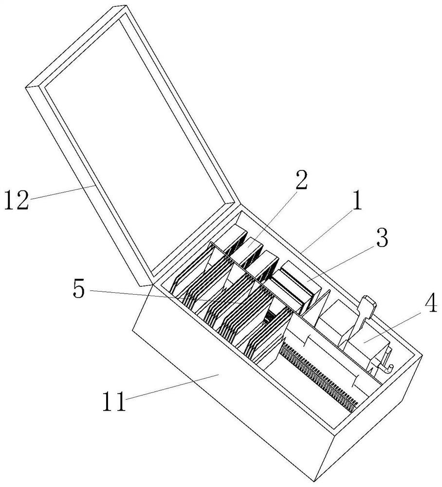 Pathological prostate tissue large section kit