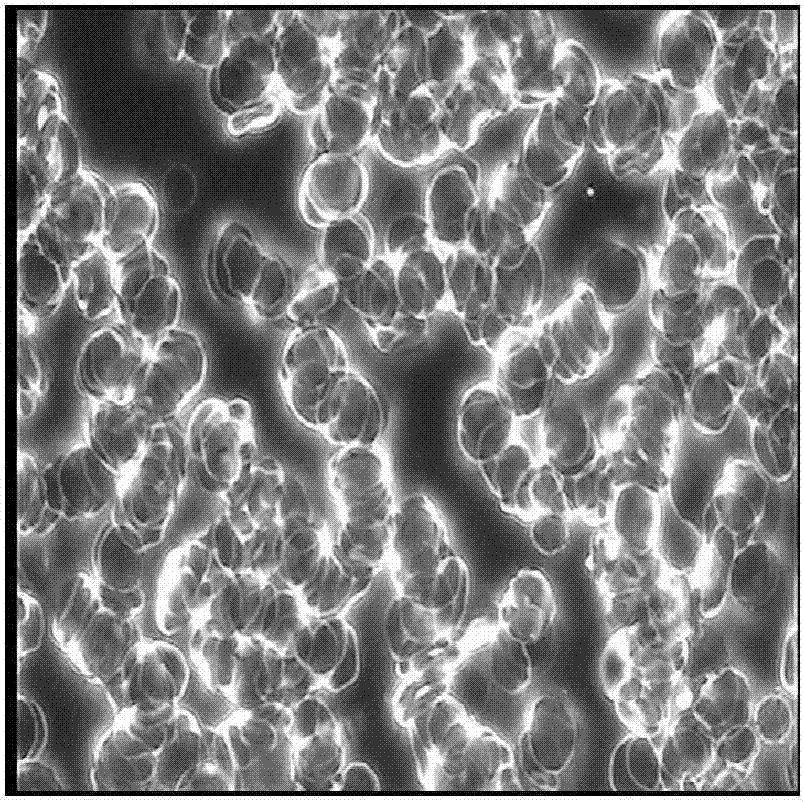 Mulberry enzyme residue tablet and preparation method thereof