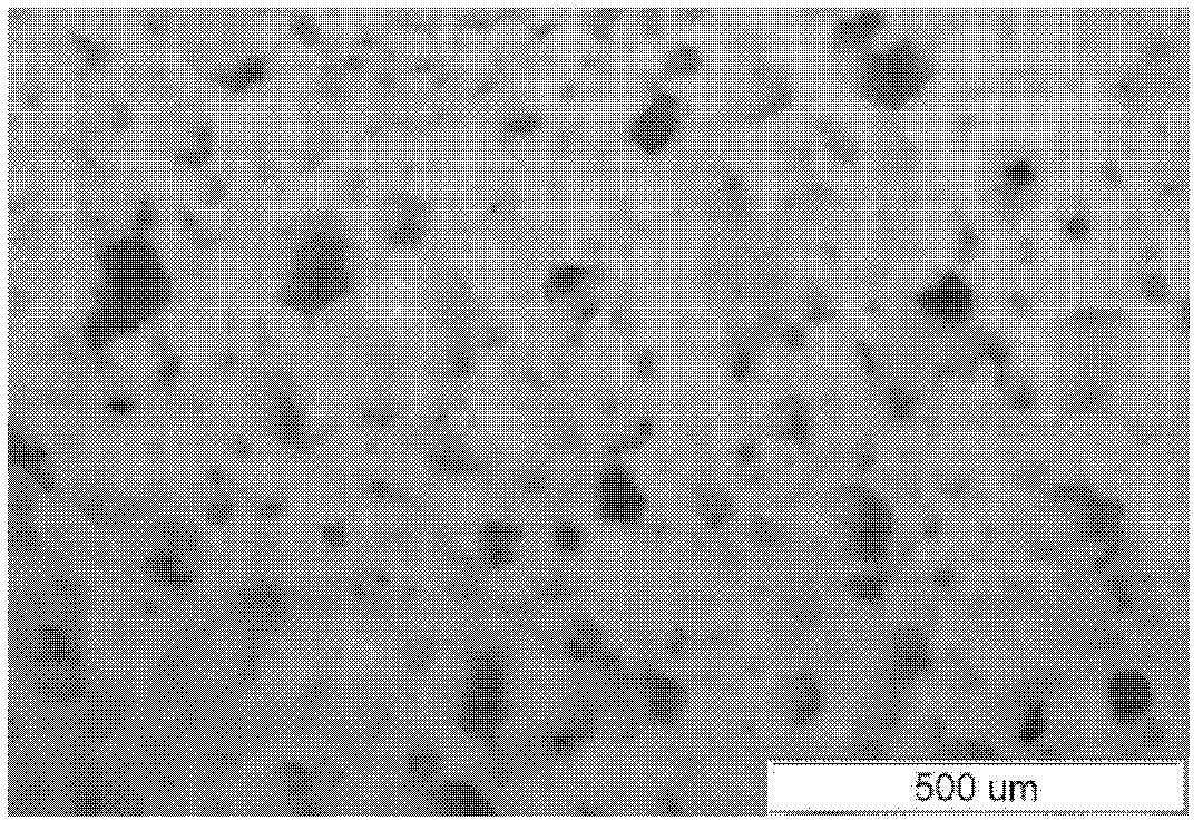 Mineral polymer foaming material as well as preparation method and application of mineral polymer foaming material