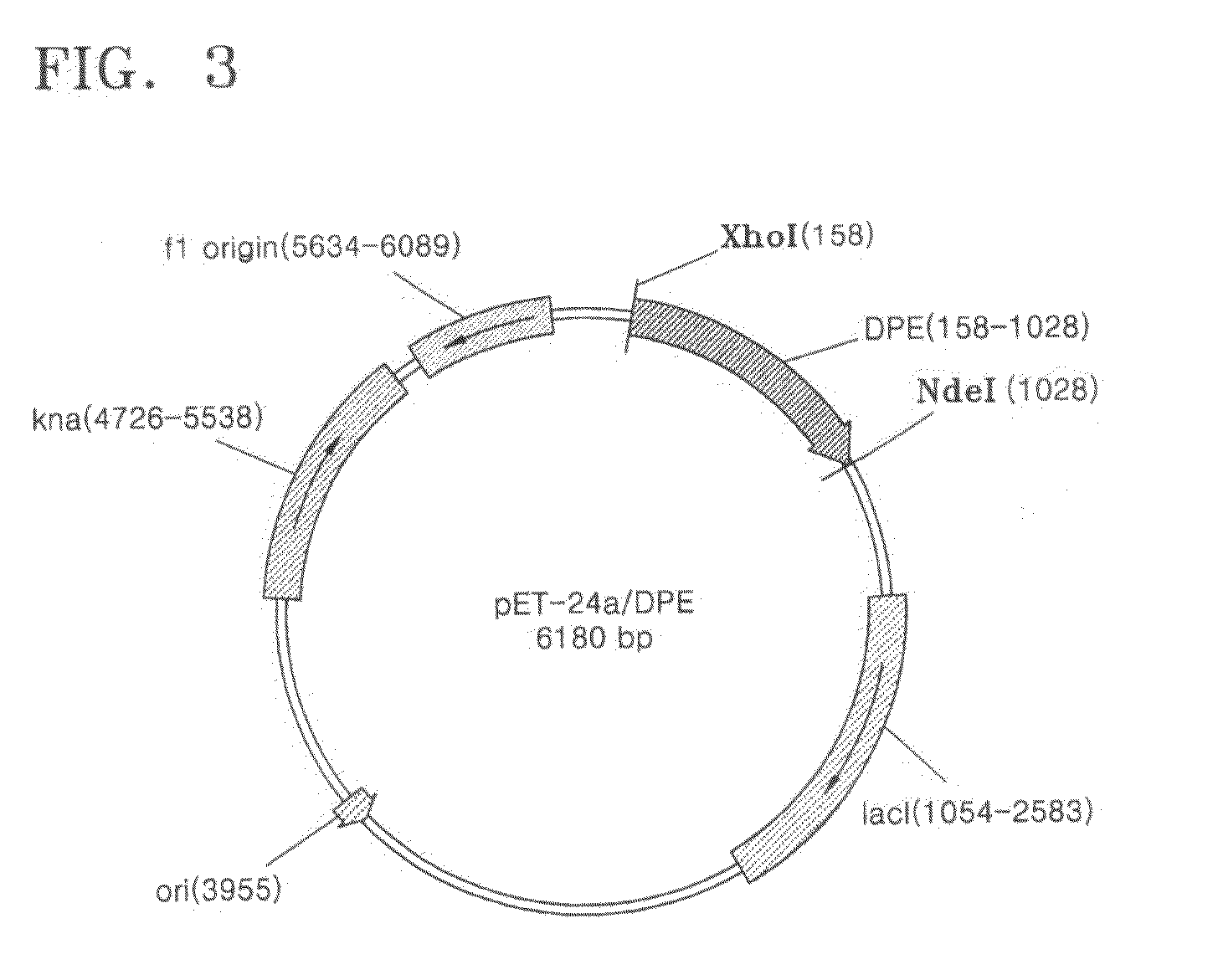 D-psicose production method by D-psicose epimerase