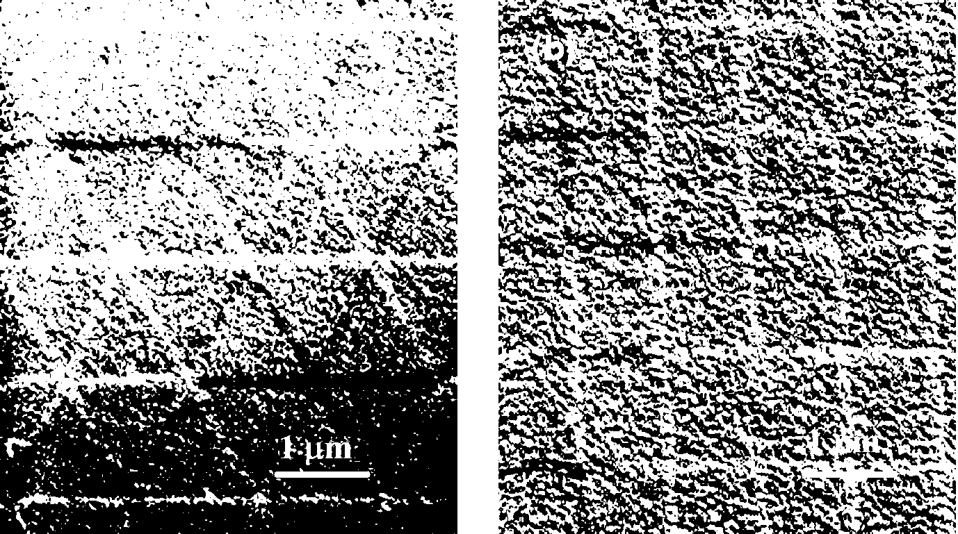 Method utilizing femtosecond laser non-mask method to prepare magnetic sensitive microstructure unit