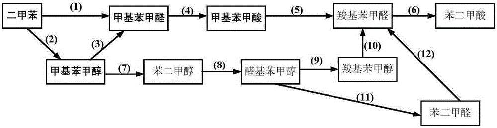 Co-production method for methyl benzoic acid and phthalic acid