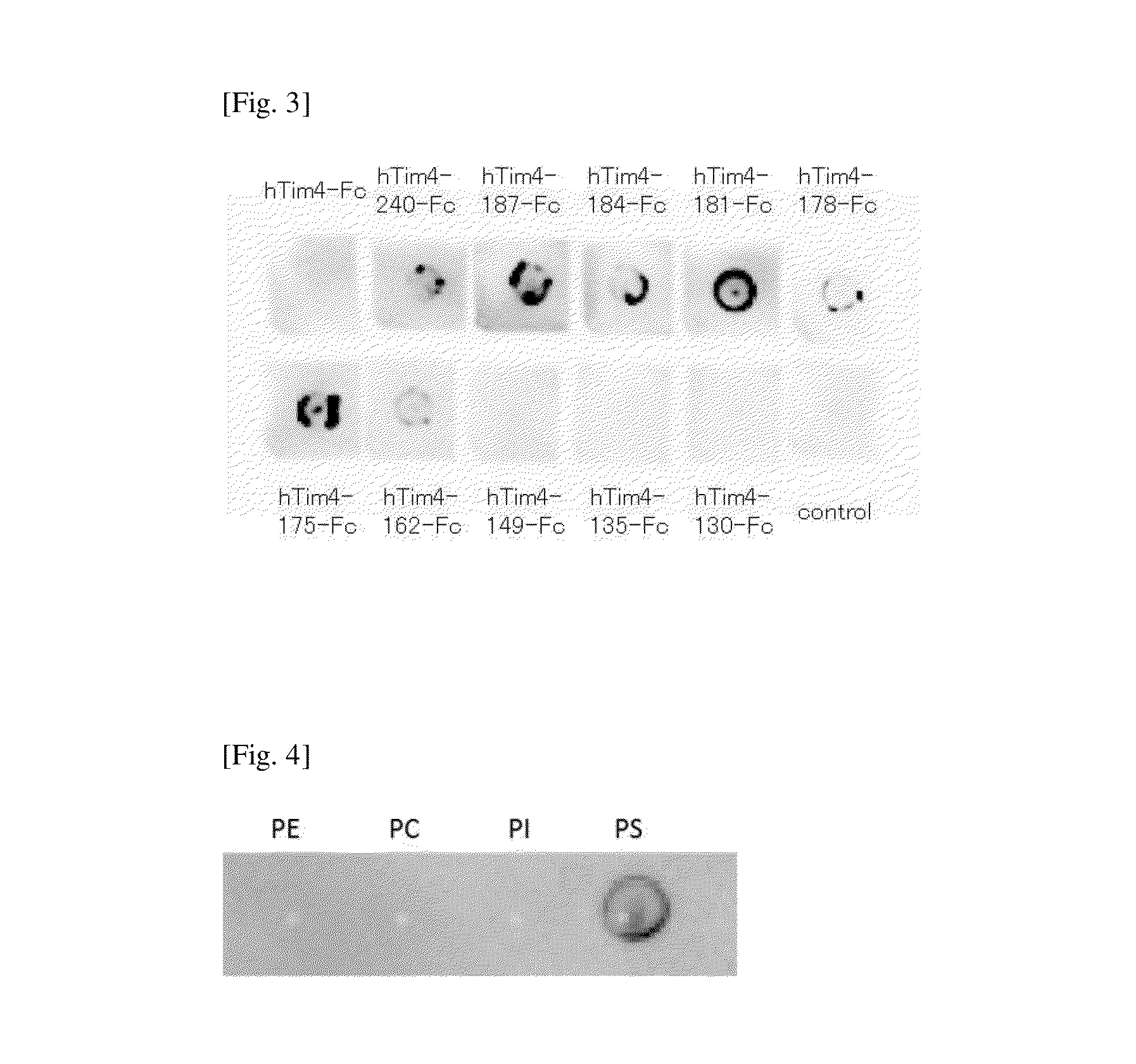 Probe for detecting dead cell