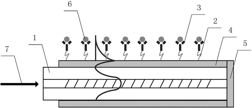 Water channel urine protein optical label-free specific detection device and method