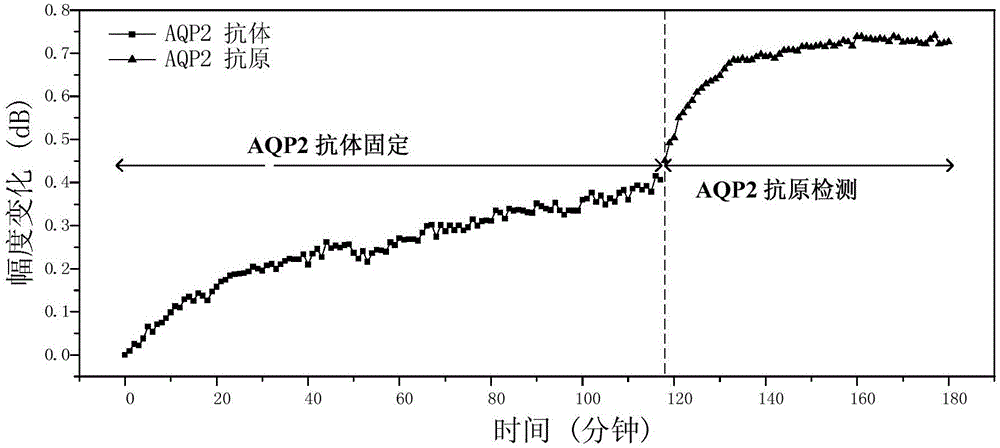 Water channel urine protein optical label-free specific detection device and method