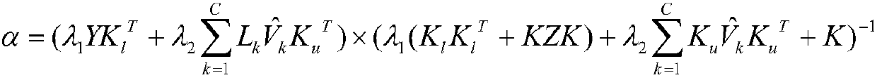 Semi-supervised classification method of modified clustering assumption combined with pairwise constraints