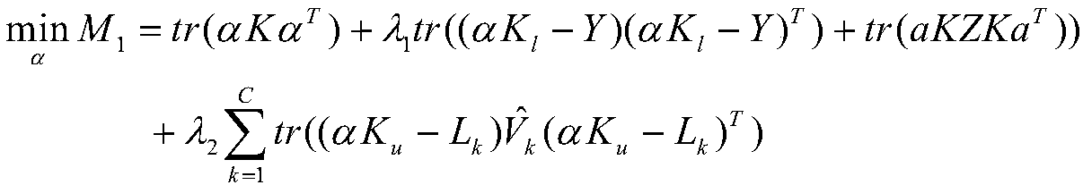 Semi-supervised classification method of modified clustering assumption combined with pairwise constraints