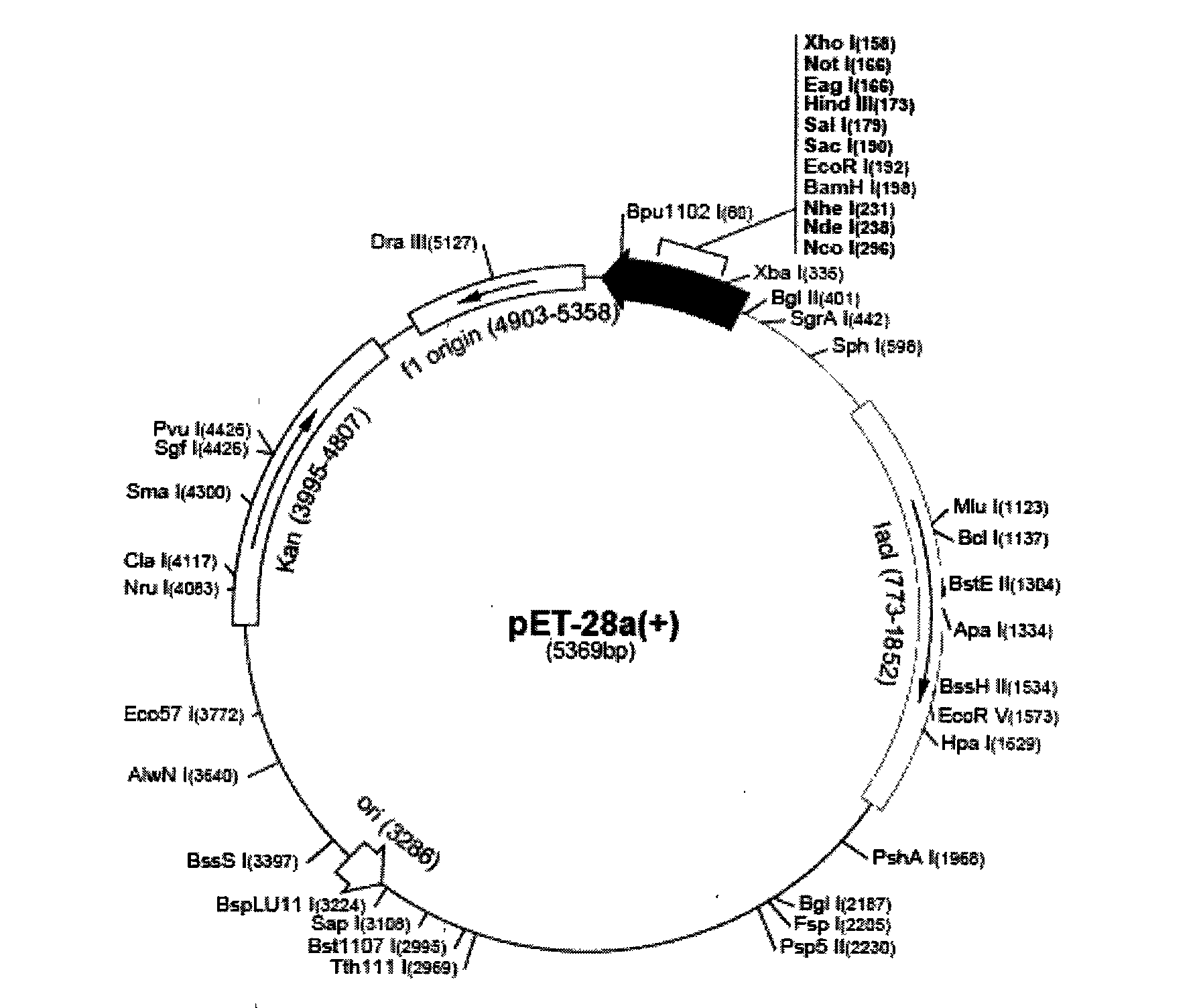 Recombinant bovine tuberculosis specific antigen protein with three fused genes and preparation method thereof