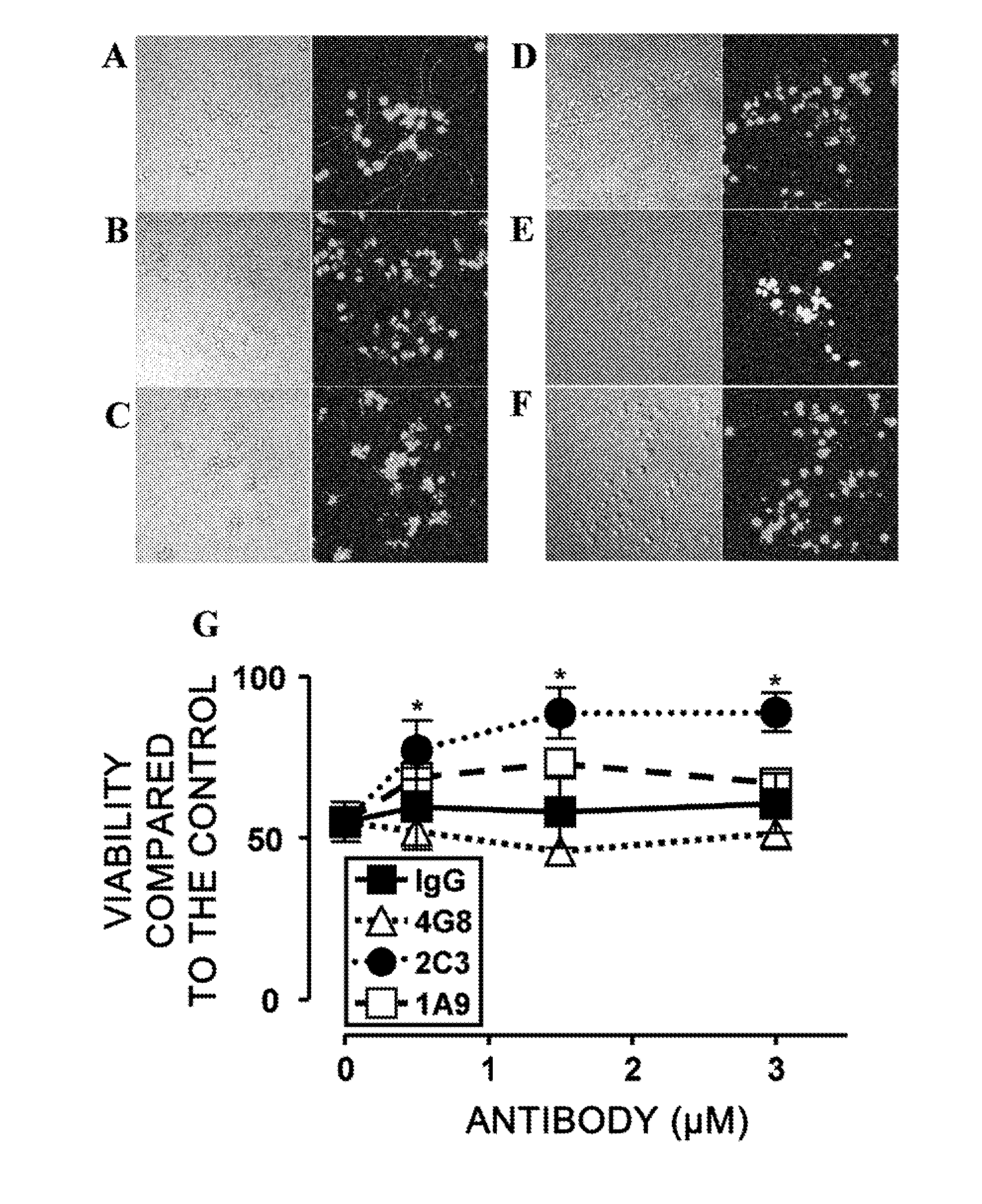 Antibodies That Specifically Bind to ABeta Oligomers and Uses Thereof