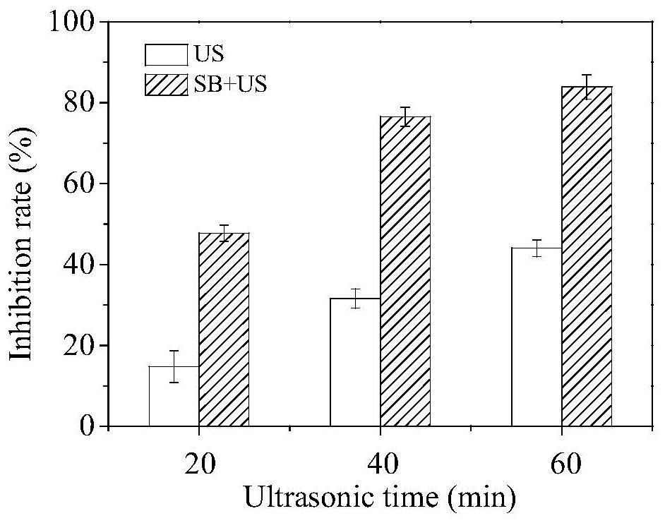 Synergistic inhibition of Escherichia coli with phenol saffron red and ultrasound