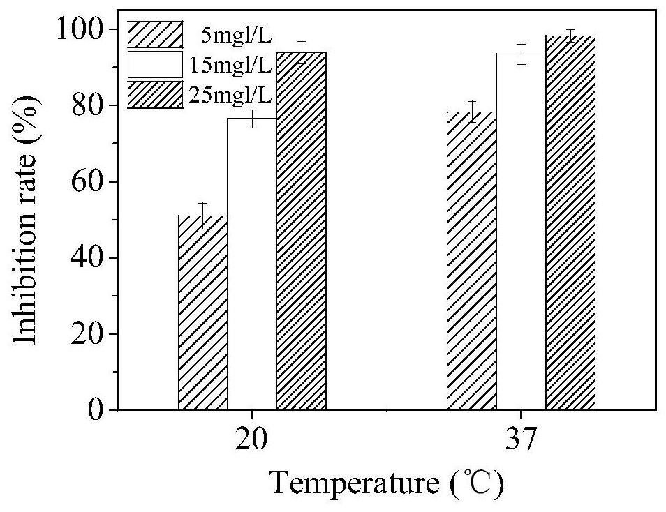 Synergistic inhibition of Escherichia coli with phenol saffron red and ultrasound