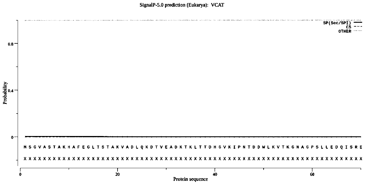 Catalase vcat and its coding gene and application