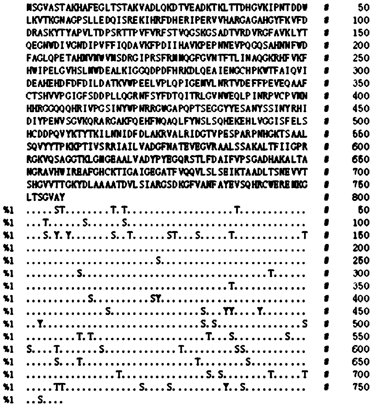 Catalase vcat and its coding gene and application