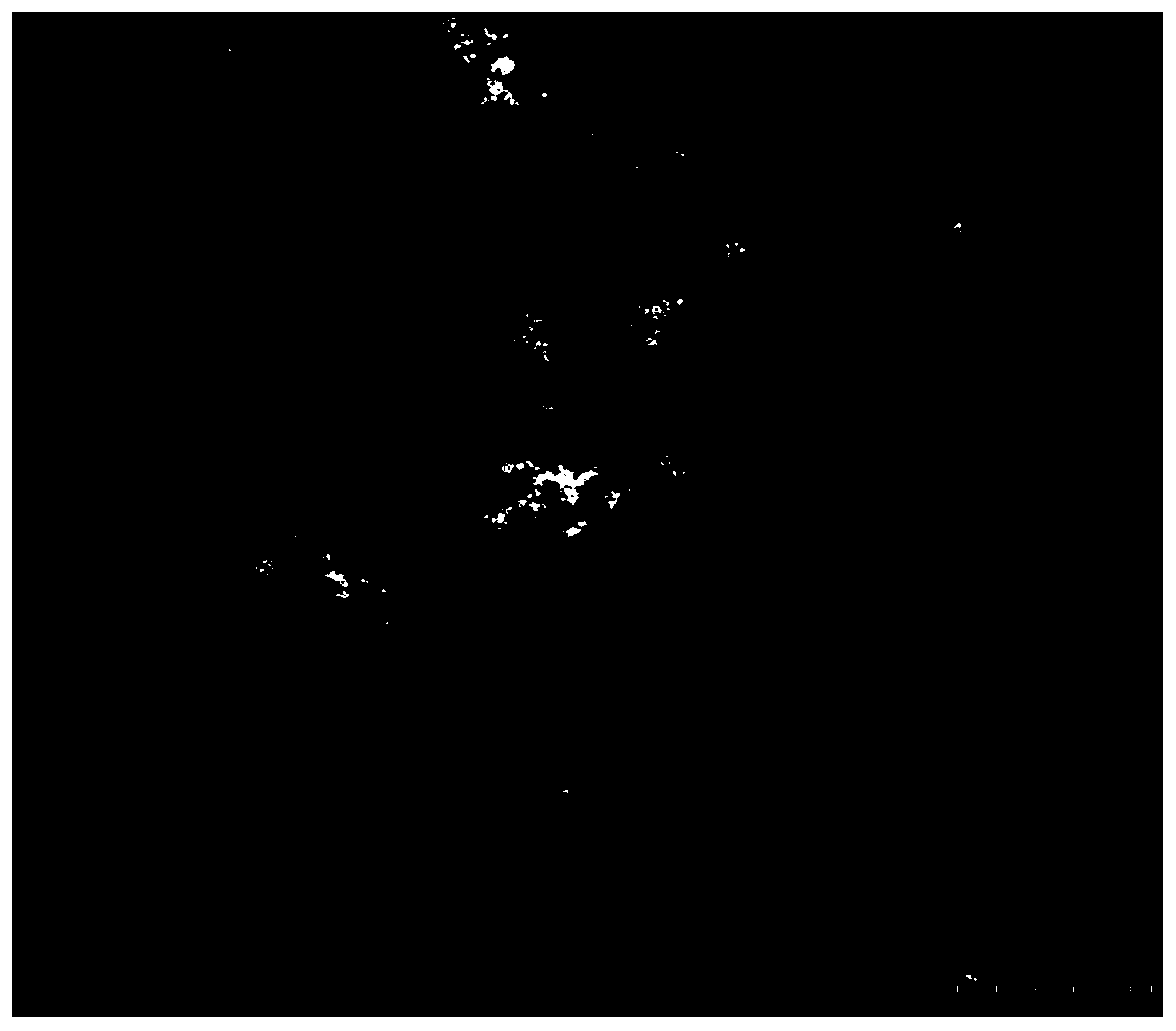 A feed additive for alleviating endoplasmic reticulum stress of sea bass, its preparation method and application