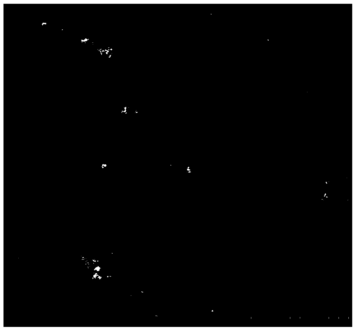 A feed additive for alleviating endoplasmic reticulum stress of sea bass, its preparation method and application