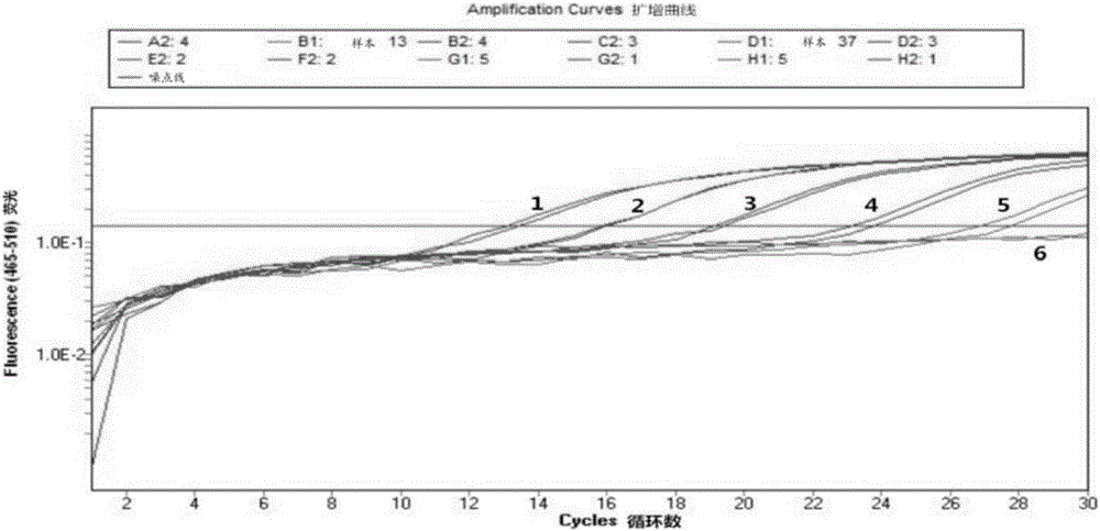 Kit for detecting enterocytozoonhepatopenaei