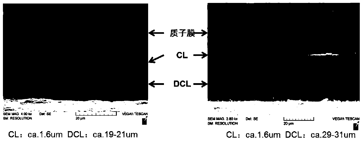 Method for Measuring the Effective Diffusion Coefficient of Oxygen in the Catalyst Layer of a Fuel Cell