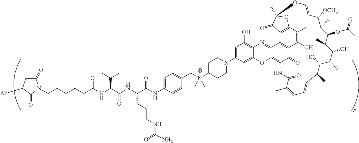 Process for the preparation of an antibody-rifamycin conjugate