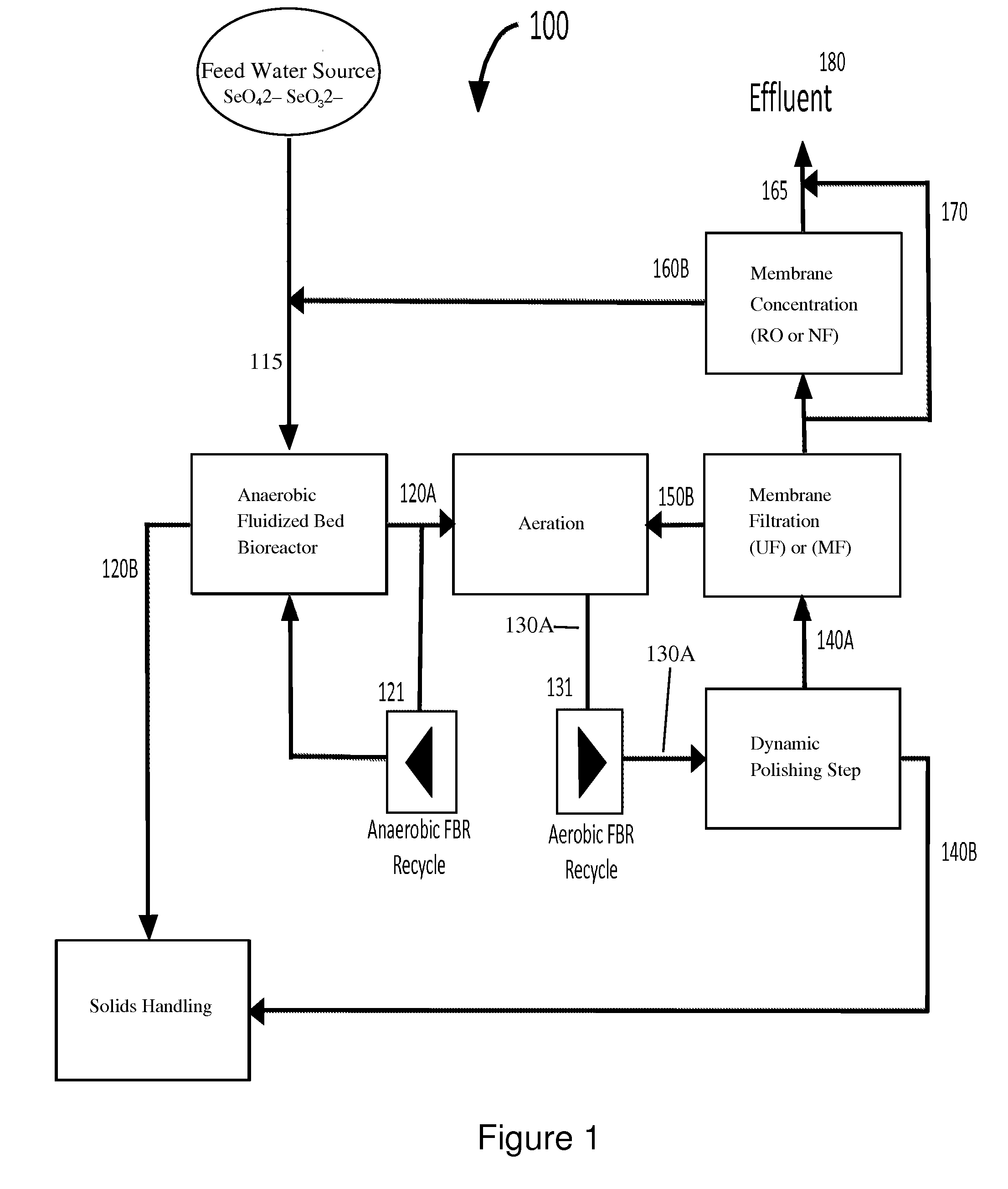 Water Treatment System and Method for Removal of Contaminants Using Biological Systems