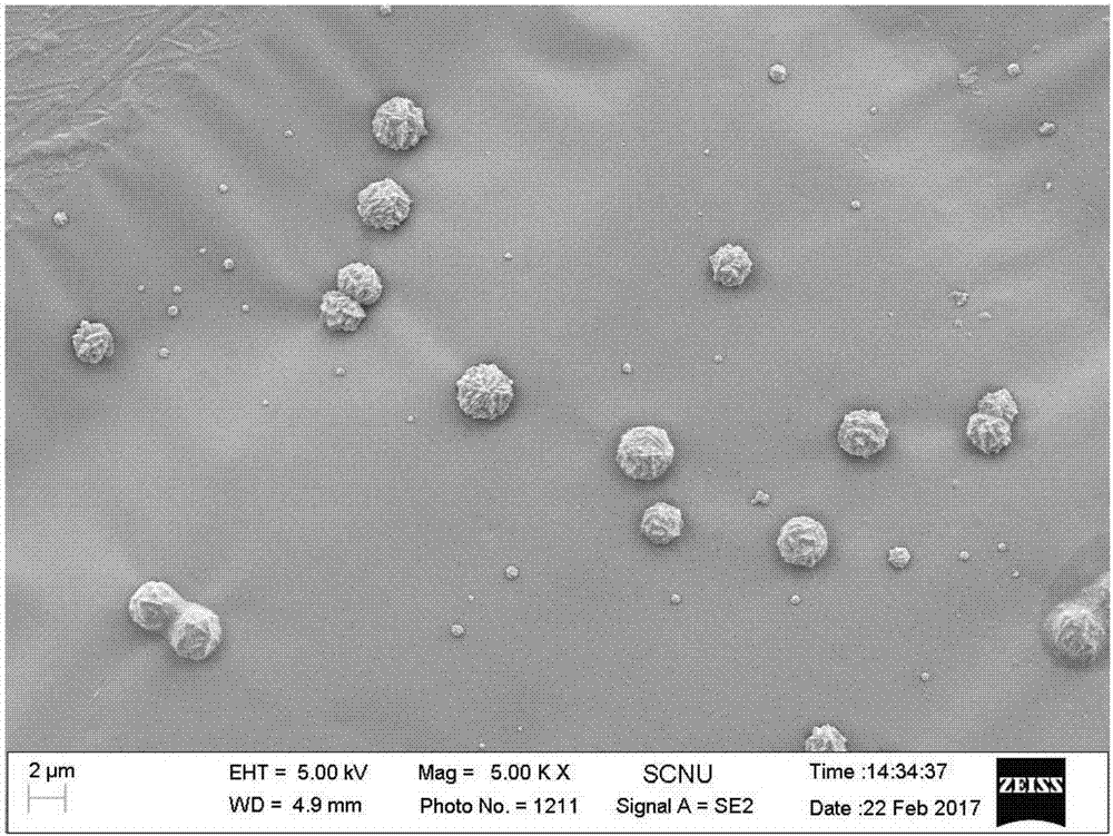 Flower-like nanometer silver sphere, preparation method and application thereof