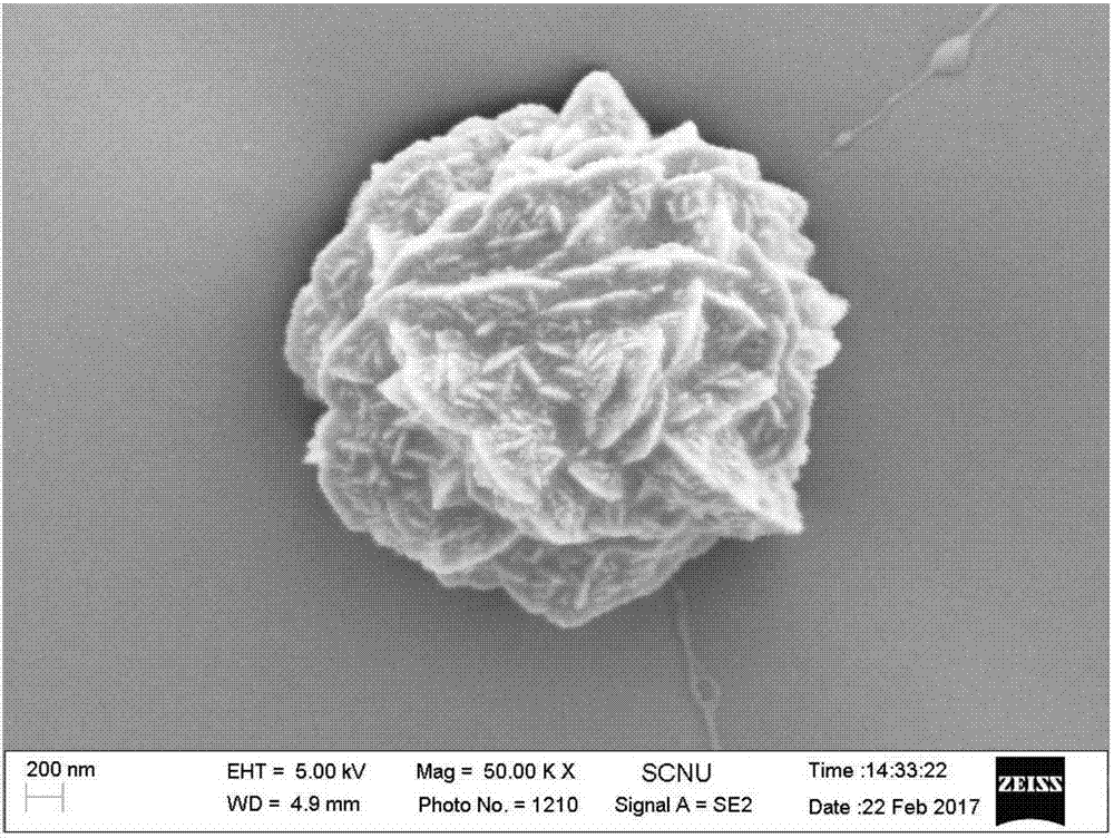 Flower-like nanometer silver sphere, preparation method and application thereof