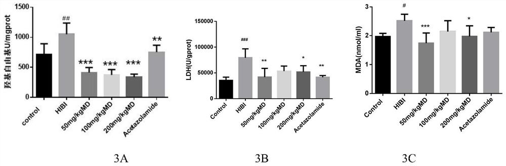 Meldonium as the application and medicine for preventing or treating acute brain injury at high altitude