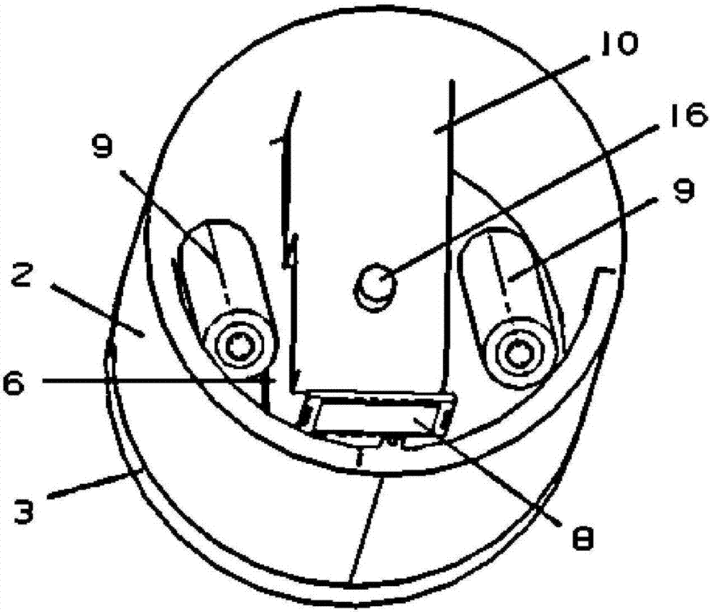 Fingerprint recognition automatic safety cup cover