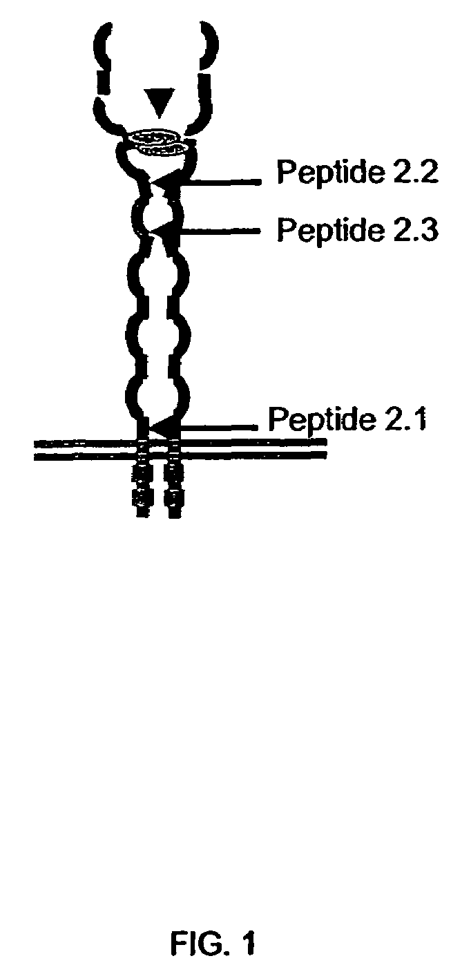 Cytokine receptor modulators and method of modulating cytokine receptor activity