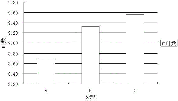 Controlled release compound fertilizer and preparation method thereof