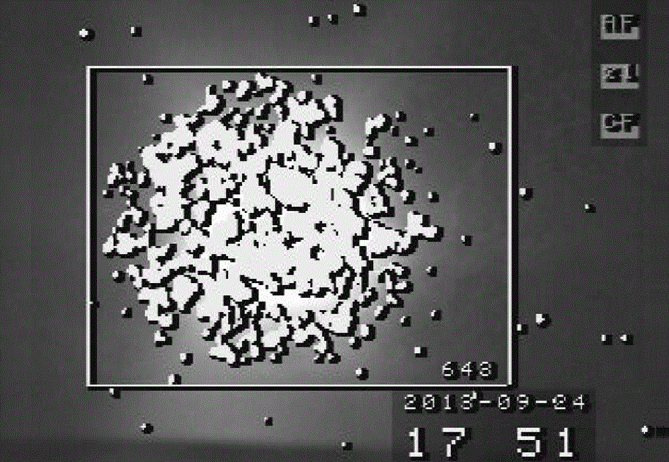 Borate-based rare earth ion doping visible-ultraviolet up-conversion luminescent material and preparation method and application thereof