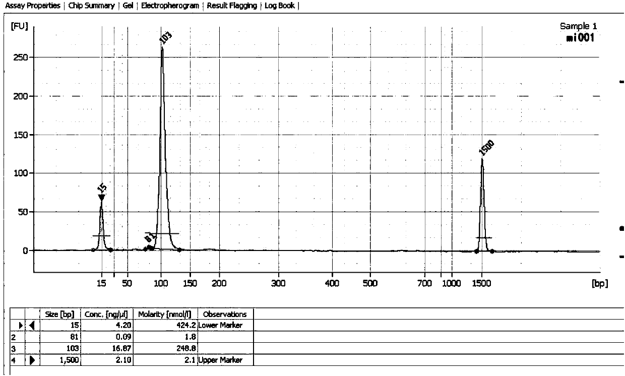 A kind of construction method of small RNA cDNA library