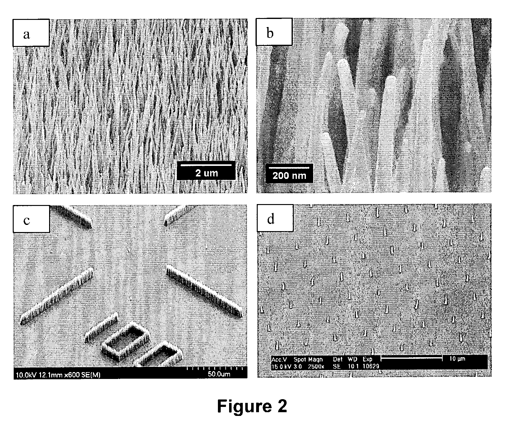 Nanoengineered membranes for controlled transport