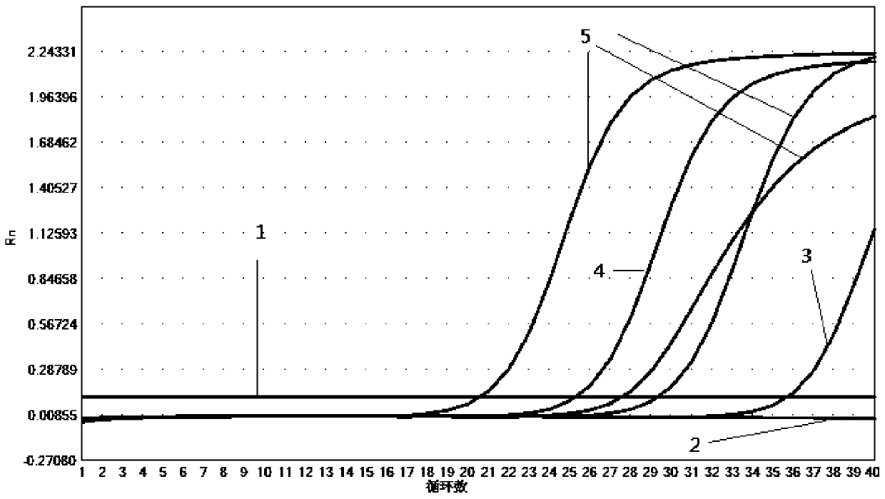 Kit for detecting 10 pathogens of respiratory tract infection and method of use thereof