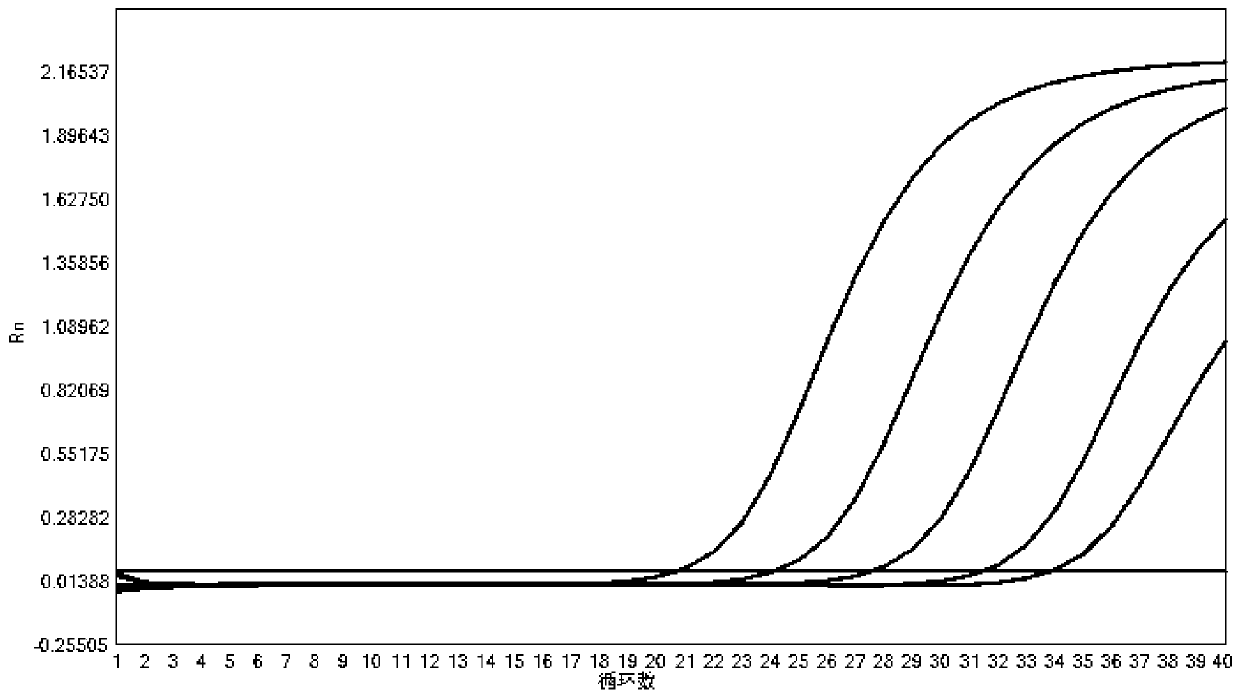 Kit for detecting 10 pathogens of respiratory tract infection and method of use thereof