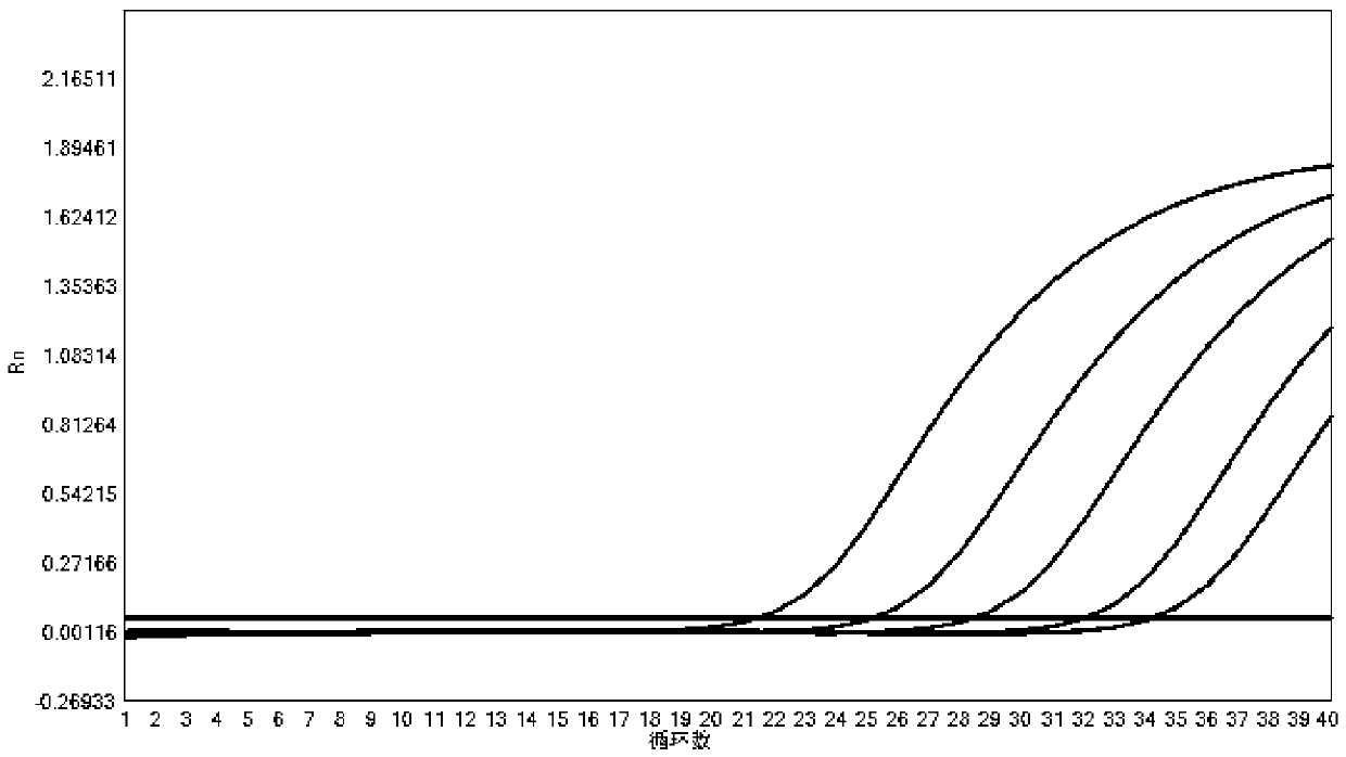 Kit for detecting 10 pathogens of respiratory tract infection and method of use thereof