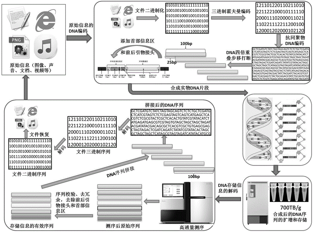 Encoding method and decoding method for performing information storage by means of DNA