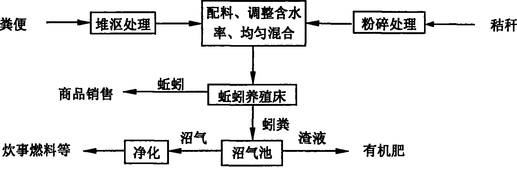 Anaerobic fermentation technique for combined treatment of dejection and straw