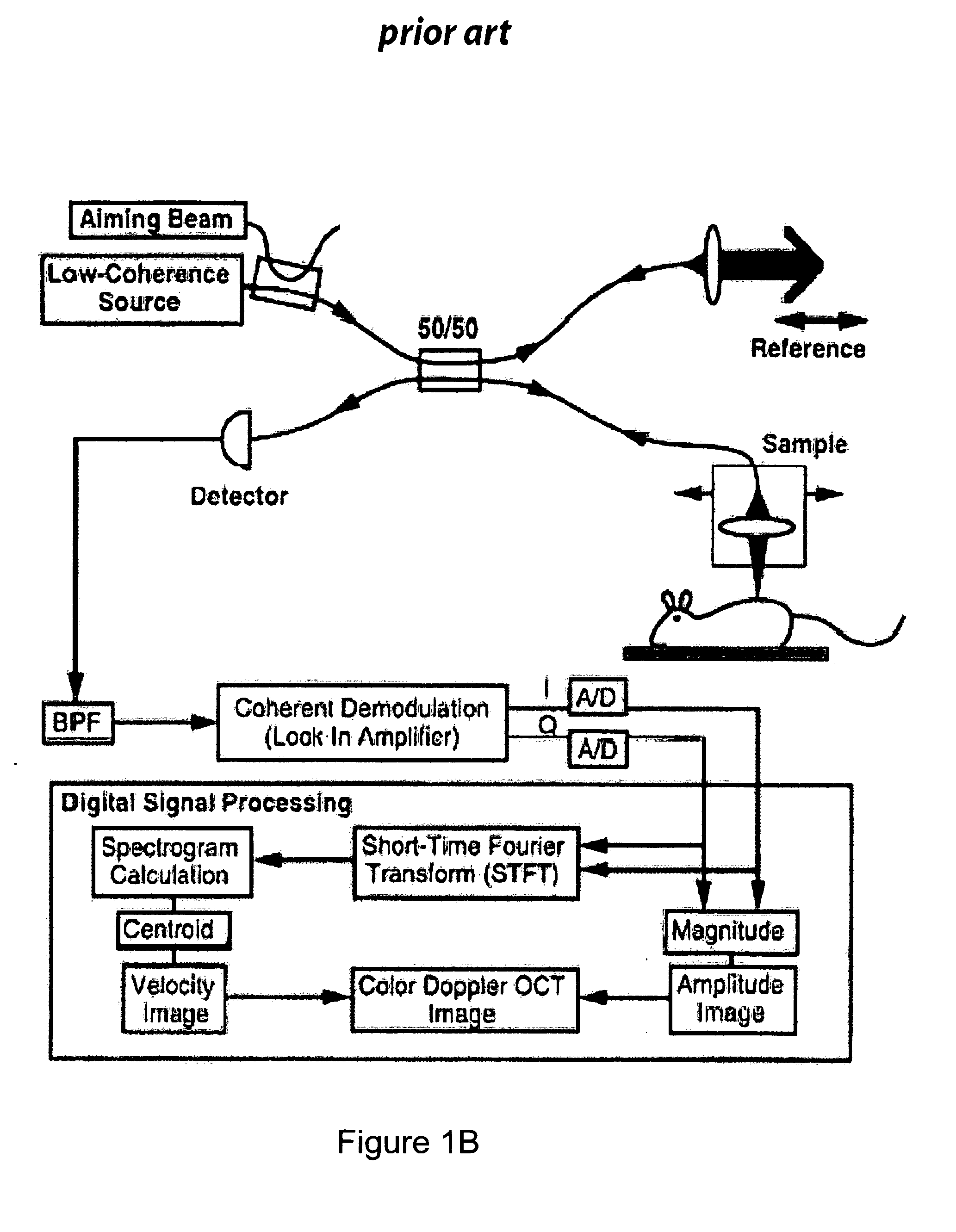 Apparatus, method and system for performing phase-resolved optical frequency domain imaging