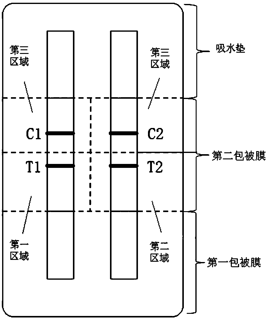 Pepsinogen Ⅰ and pepsinogen Ⅱ detection method and kit