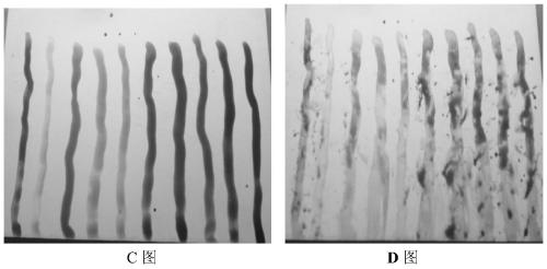 Plant-based water-based artistic paint and preparation method thereof