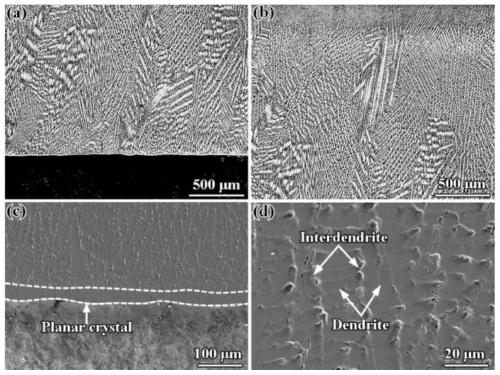 High-hardness high-entropy alloy coating and preparation method and application thereof