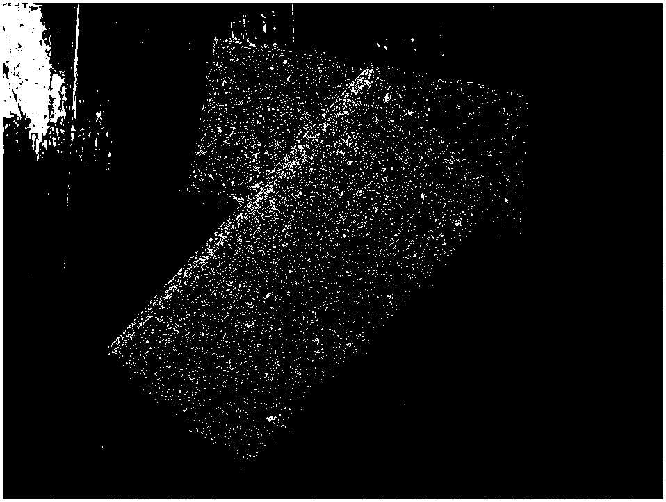 Water permeable brick prepared from basalt tailings and preparation method of water permeable brick