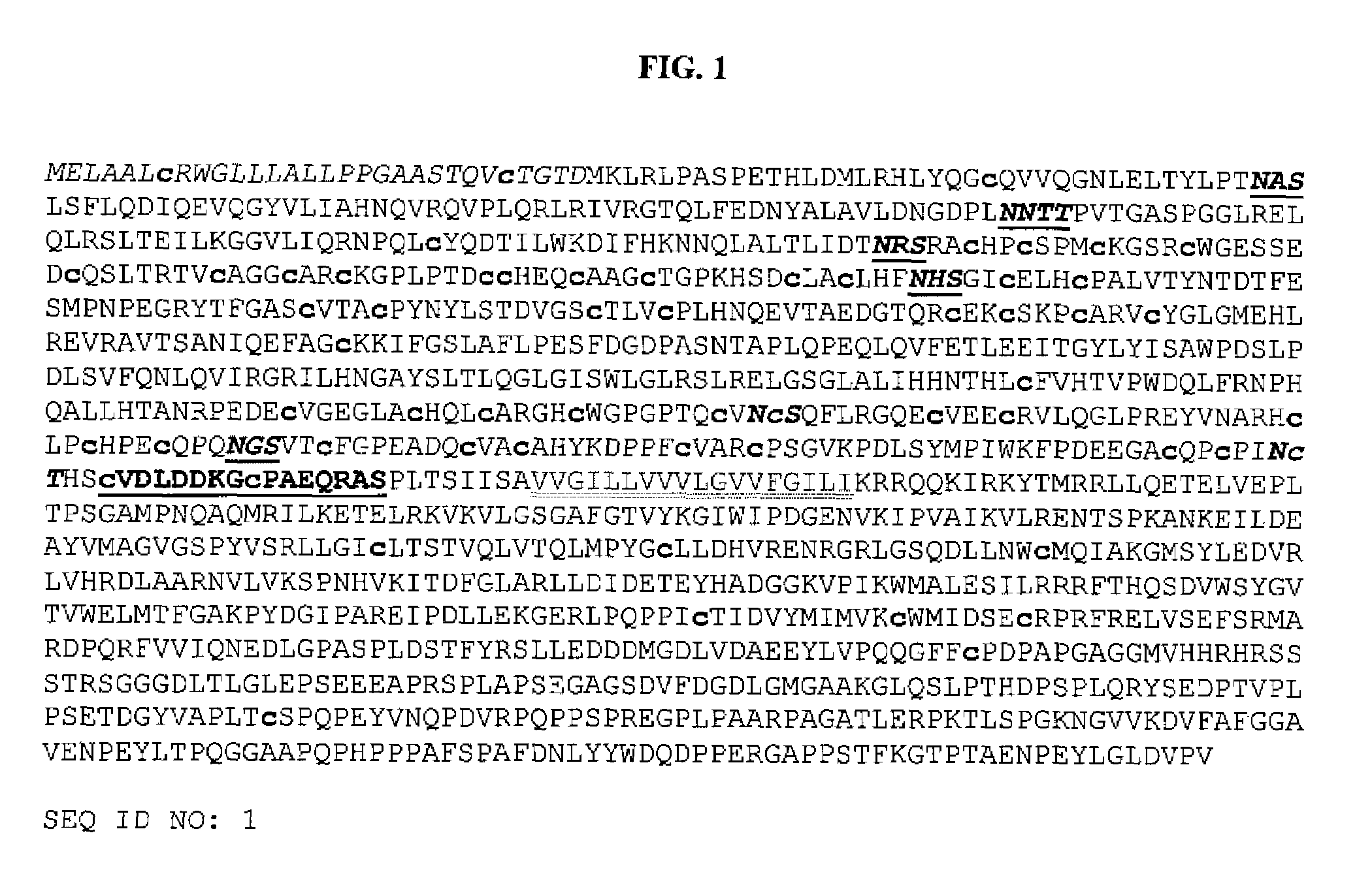 Human cancer stem cell culture compositions comprising Erbb2 variants and methods of use thereof