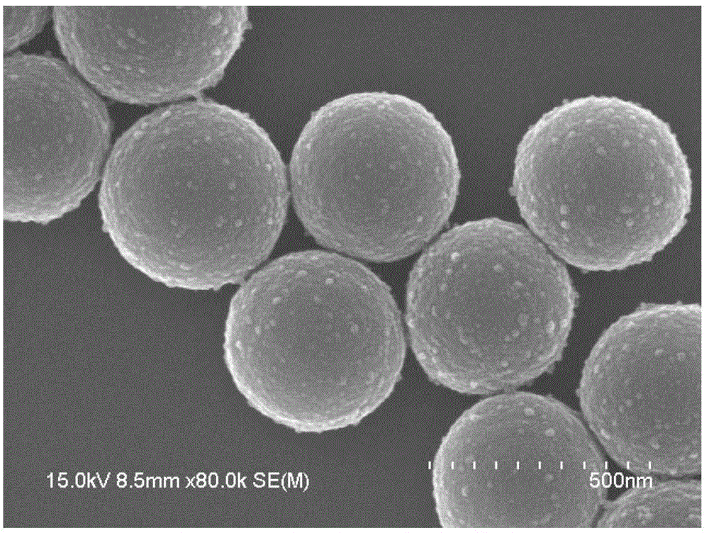 Janus nanomaterial with dual properties and preparation method thereof