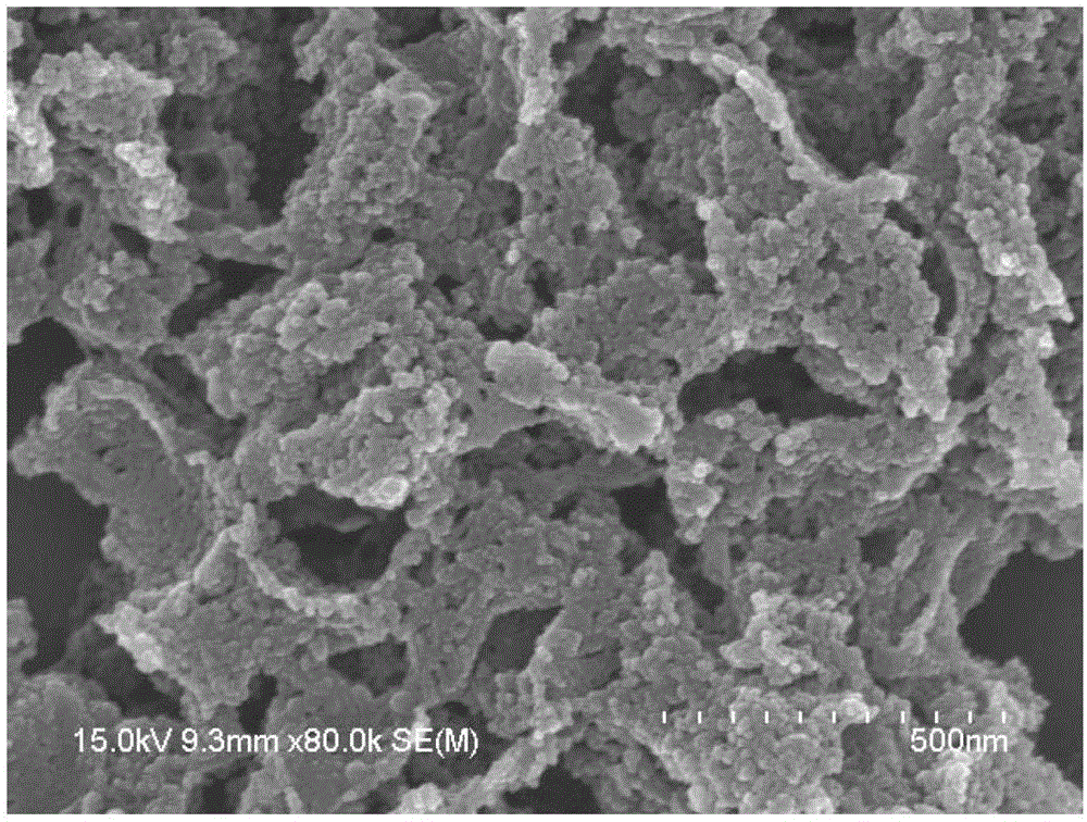 Janus nanomaterial with dual properties and preparation method thereof