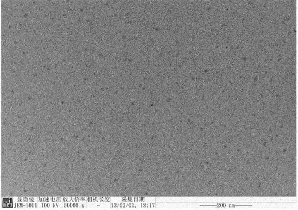 Janus nanomaterial with dual properties and preparation method thereof