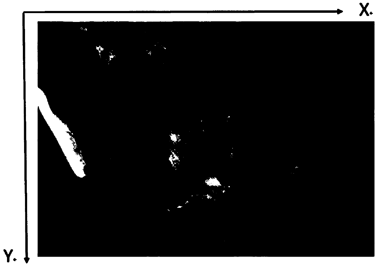 Method and device for detecting breast X-ray image masses