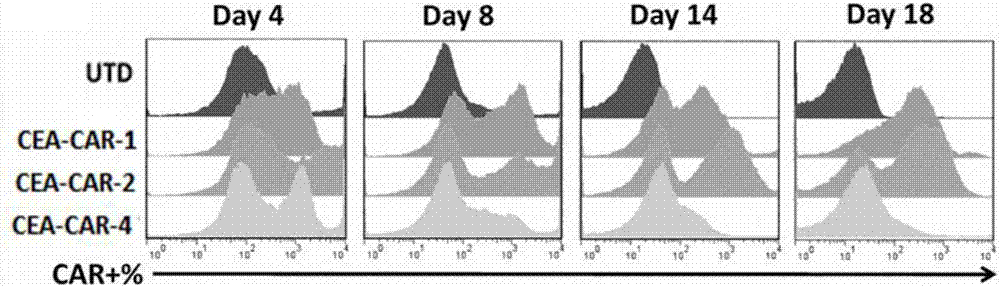 Chimeric antigen receptor for identifying carcino-embryonic antigens and application of chimeric antigen receptor