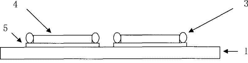 Method for horizontal transfection of exogenesis endosymbiosis bacterium to bemisia tabaci gennadius