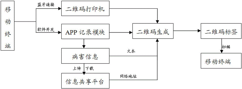 Digital characterization system of bridge onsite detected typical diseases